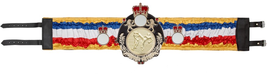 QUEENSBURY KICKBOXING SILK CHAMPIONSHIP BELT - QUEEN/B/KBOG/SILK - AVAILABLE IN 6 COLOURS